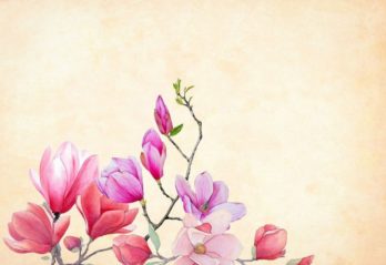 blommor i kruka ute inspiration